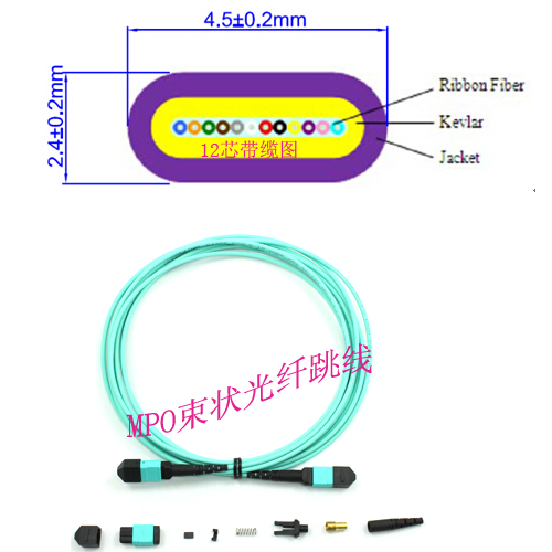MPO12芯带缆